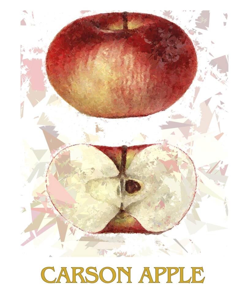 carson-apple-1-standard-onmmro.jpg