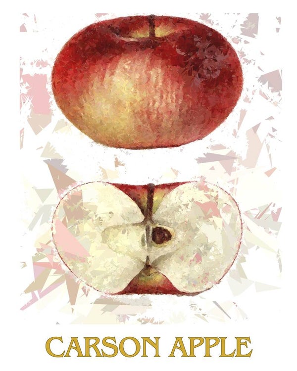 "Carson Apple" Vintage Fruit Print Redesigned - Two Sizes