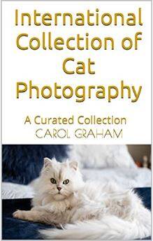 cats-book-standard.jpg