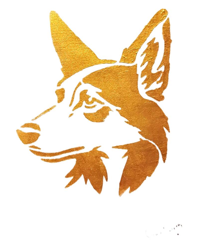 cattle-dog-standard-8kil3t.jpg