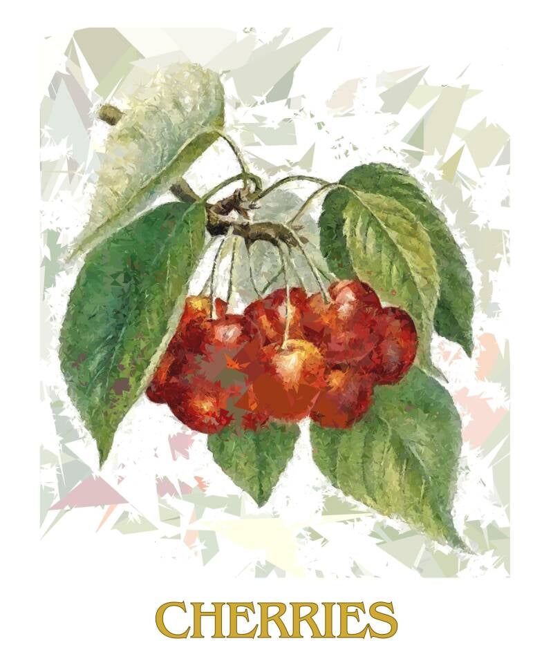 cherries-1-standard-4droom.jpg