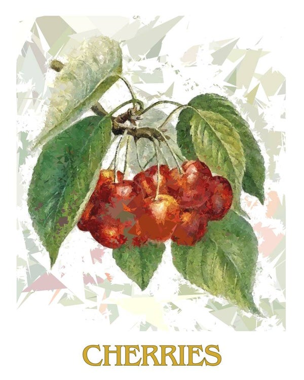 "Cherries" Vintage Fruit Print Redesigned - Two Sizes