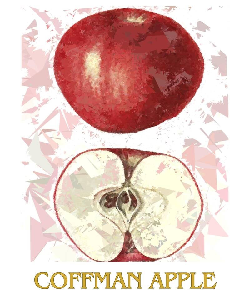 coffman-apple-1-standard-nnd38y.jpg