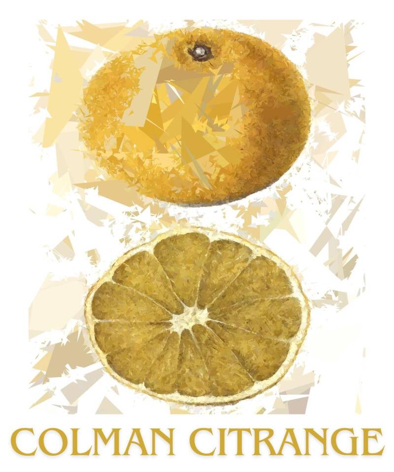 colman-citrange-standard-2osath.jpg