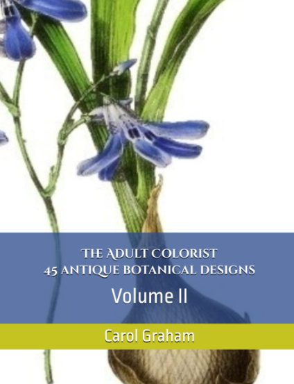 colorist-2-cover-standard.png