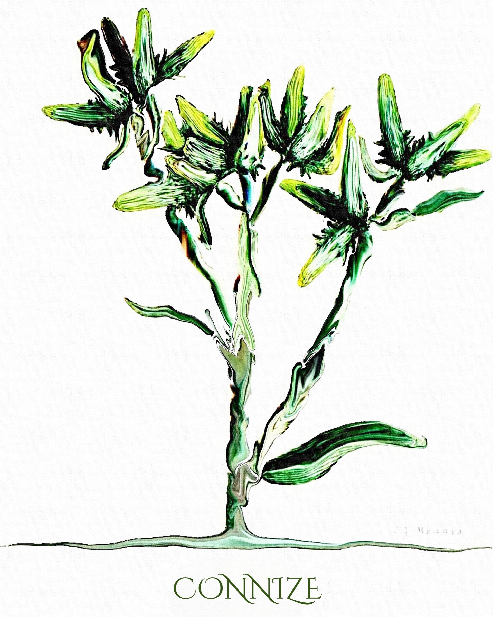"Connize" Unique Botanical Design Digital Watercolor Art Print