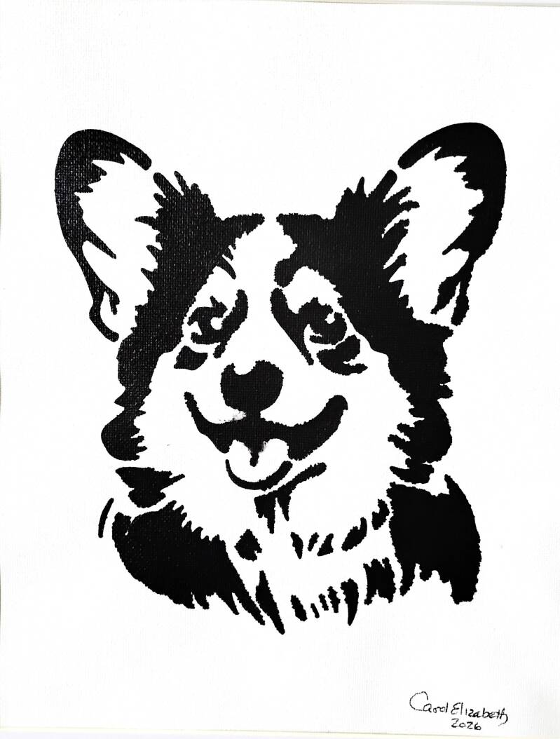corgi-large-black-standard-rdmd8m.jpg