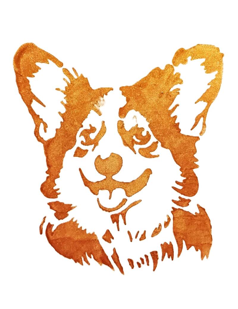 corgi-large-gold-standard-gvtd6n.jpg