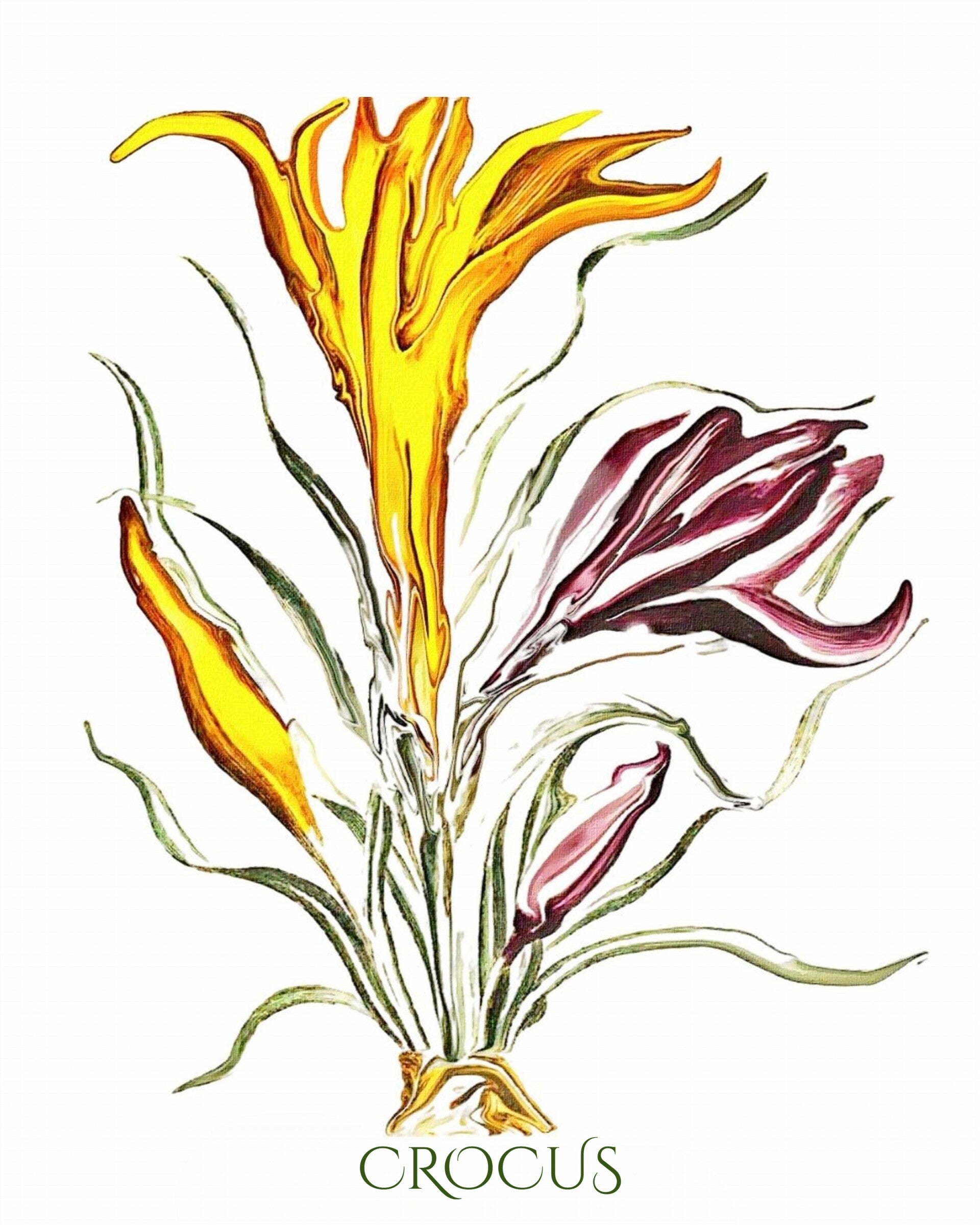 "Crocus" Unique Botanical Design Digital Watercolor Art Print