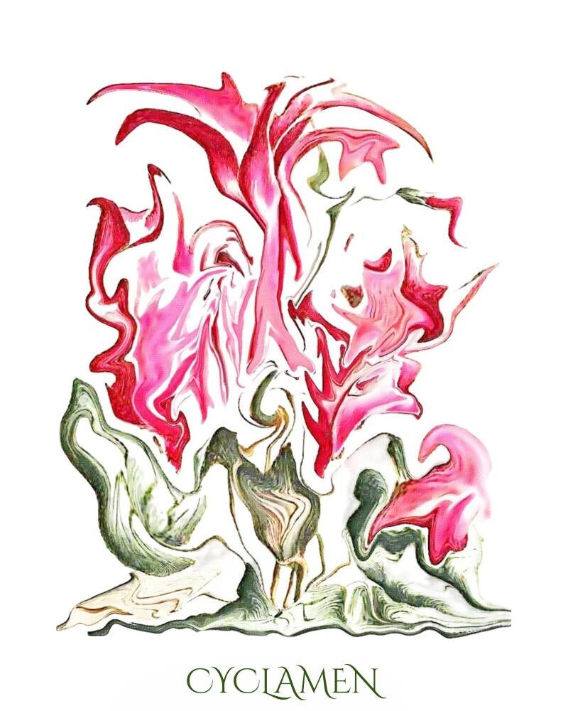 cyclamen-1-standard-ualvs2.jpg