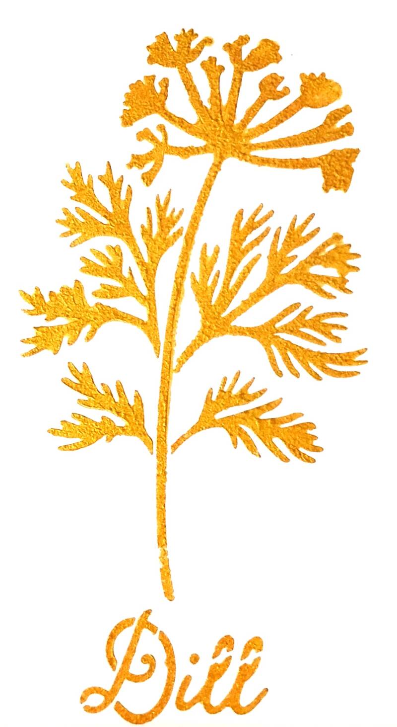 dill-standard-kzdyz5.jpg