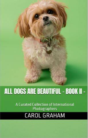 dog-2-ebook-standard.jpg