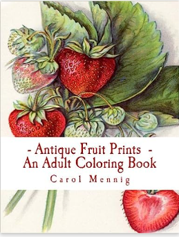 fruit-print-book-standard-8i1549.png