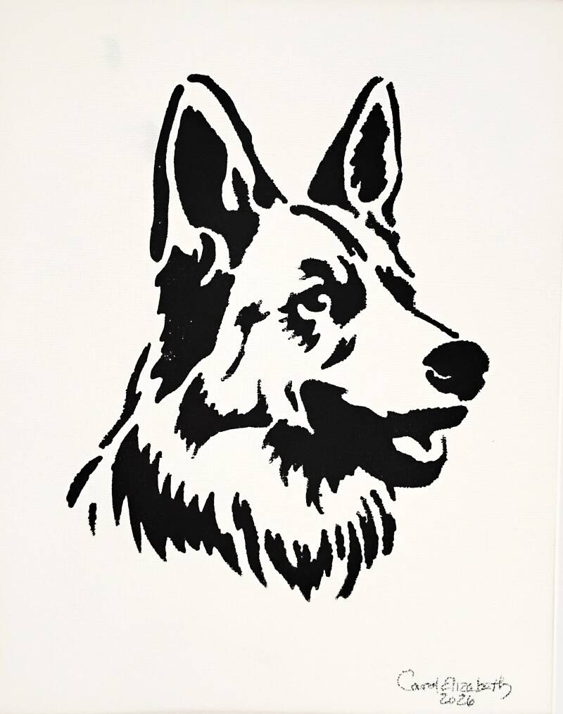 german-shepherd-standard-03ocok.jpg