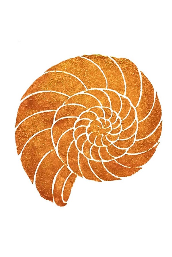 Gold Leaf Nautilus Shell Acrylic Painting Matted 11 x 14
