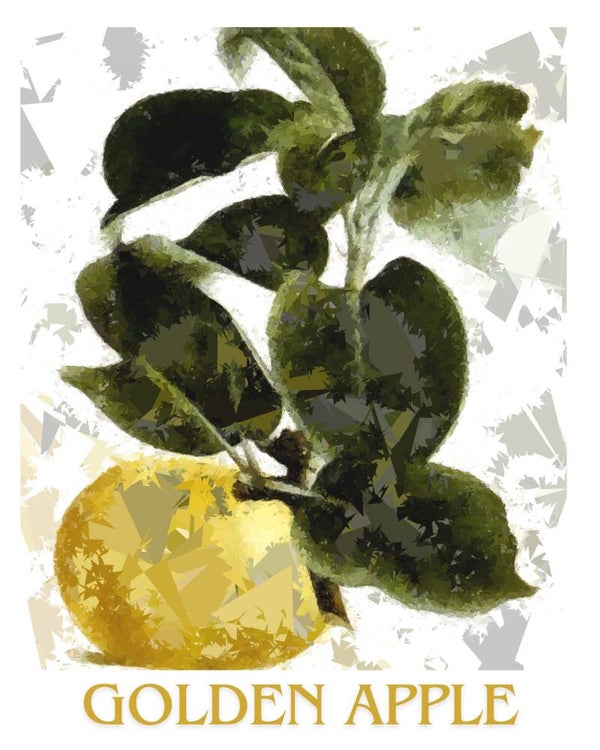 "Golden Apple" Vintage Fruit Print Redesigned - Two Sizes