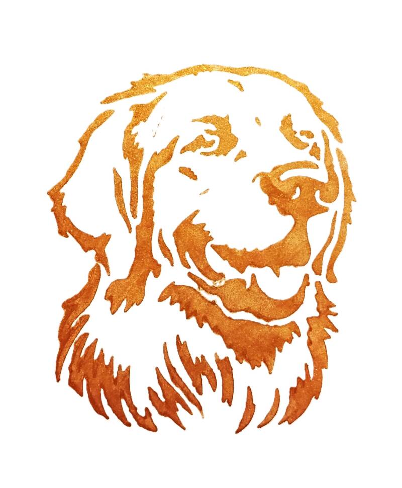 golden-retriever-large-gold-1-standard-c3sykn.jpg