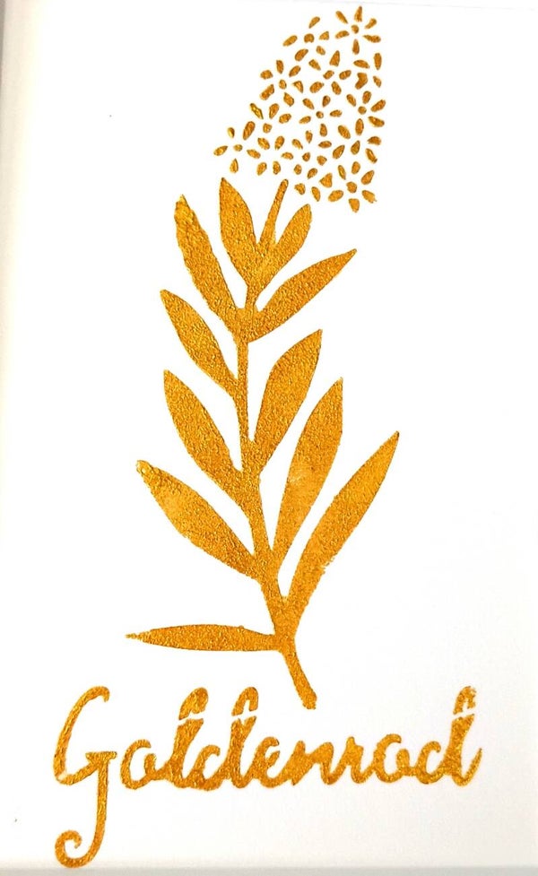 "Goldenrod" Gold Leaf Herb Painting in 5 x 7 White Mat