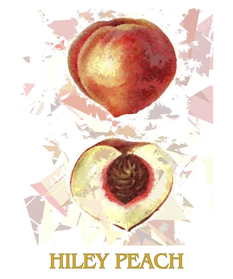 hiley-peach-1-standard-o7srur.jpg