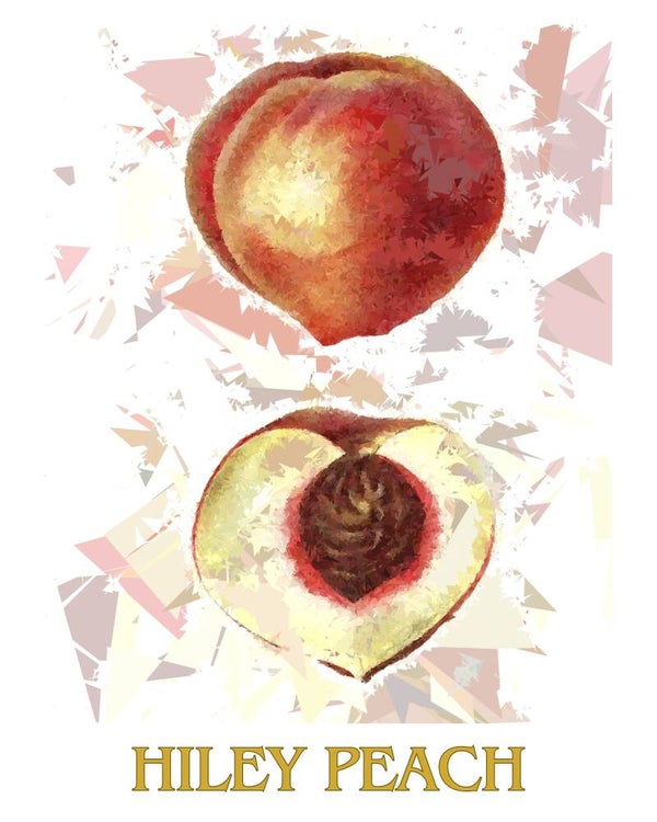 "Hiley Peach" Vintage Fruit Print Redesigned - Two Sizes