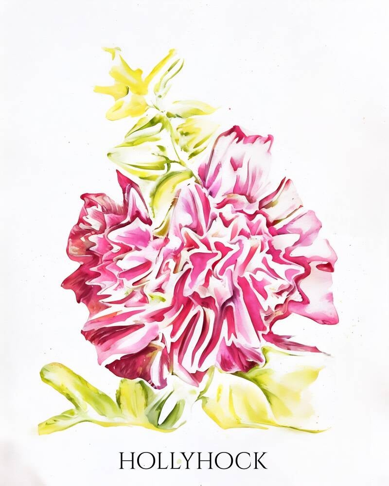 hollyhock-standard-b89o7m.jpg