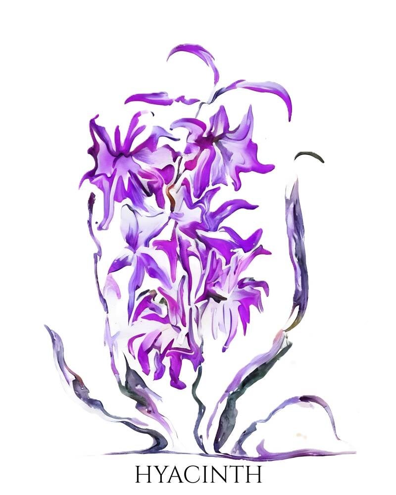 hyacinth-standard-ntcacj.jpg