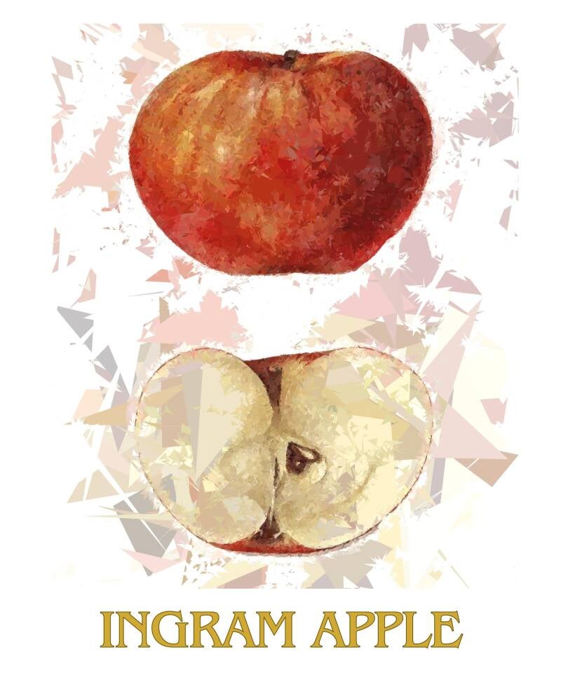 ingram-apple-1-standard-ksfpd5.jpg