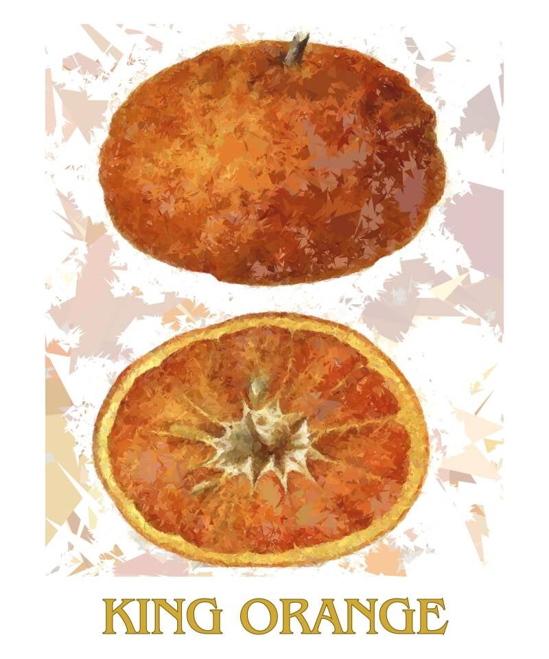 king-orange-1-standard-ucytlg.jpg