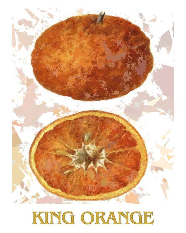"King Orange" Vintage Fruit Print Redesigned - Two Sizes