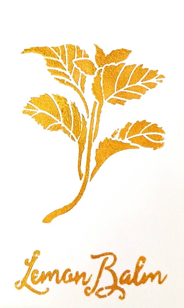 "Lemon Balm" Gold Leaf Herb Painting in 5 x 7 White Mat