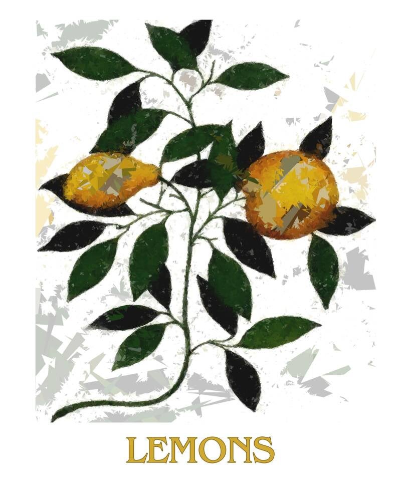 lemons-2-standard-dmp0t2.jpg
