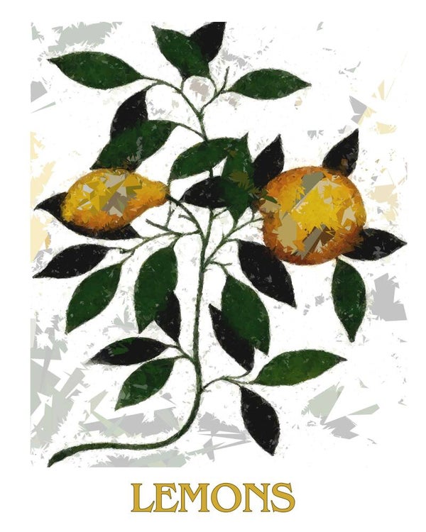 "Lemons" Vintage Fruit Print Redesigned - Two Sizes