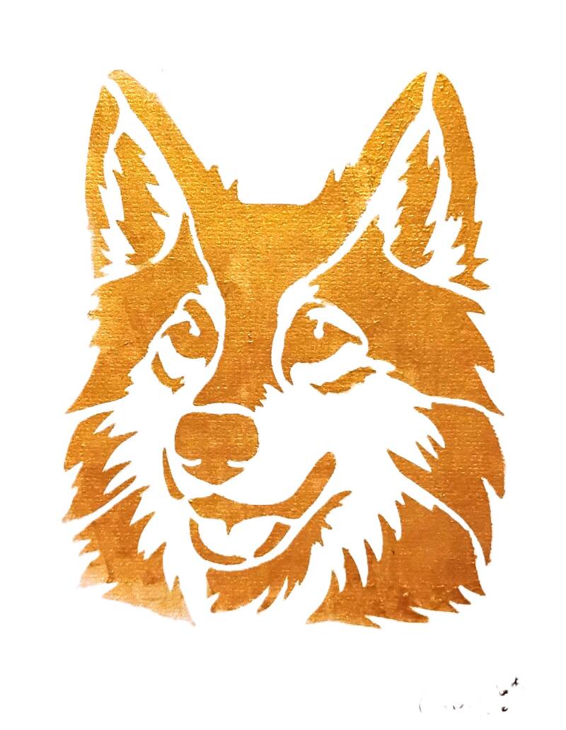 malamute-standard-asa2z2.jpg