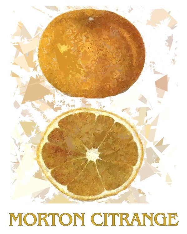 "Morton Citrange" Vintage Fruit Print Redesigned - Two Sizes