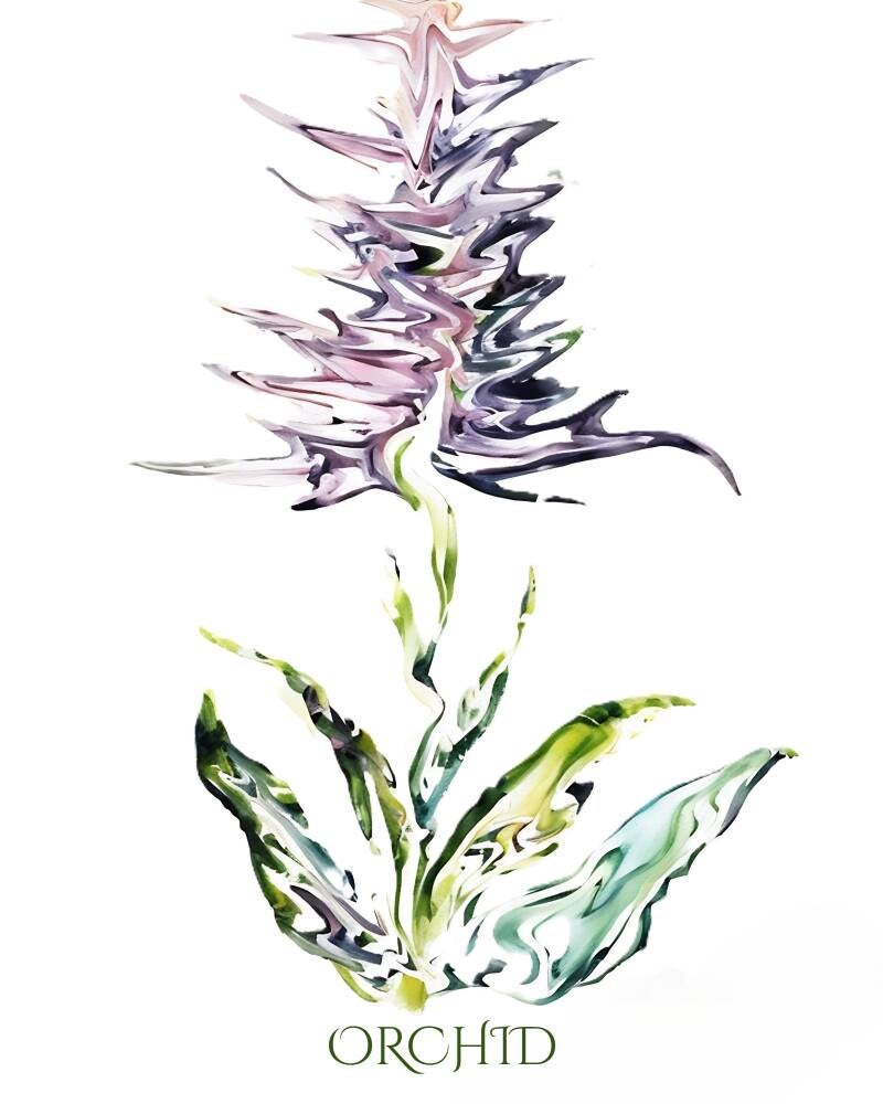 orchid-2-standard-vfpyr3.jpg