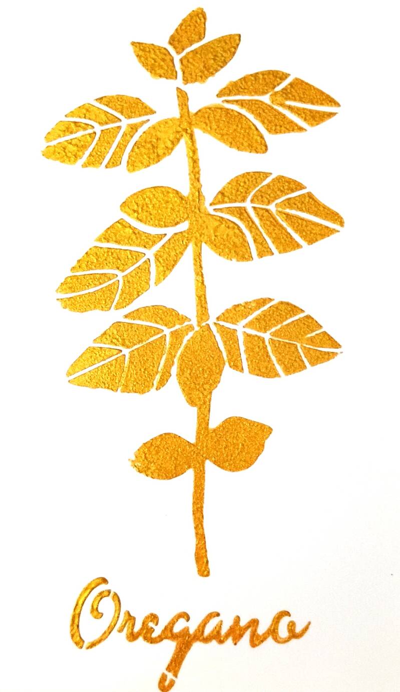oregano-standard-x9ufs6.jpg