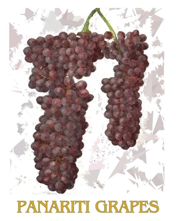 "Panariti Grapes" Vintage Fruit Print Redesigned - Two Sizes