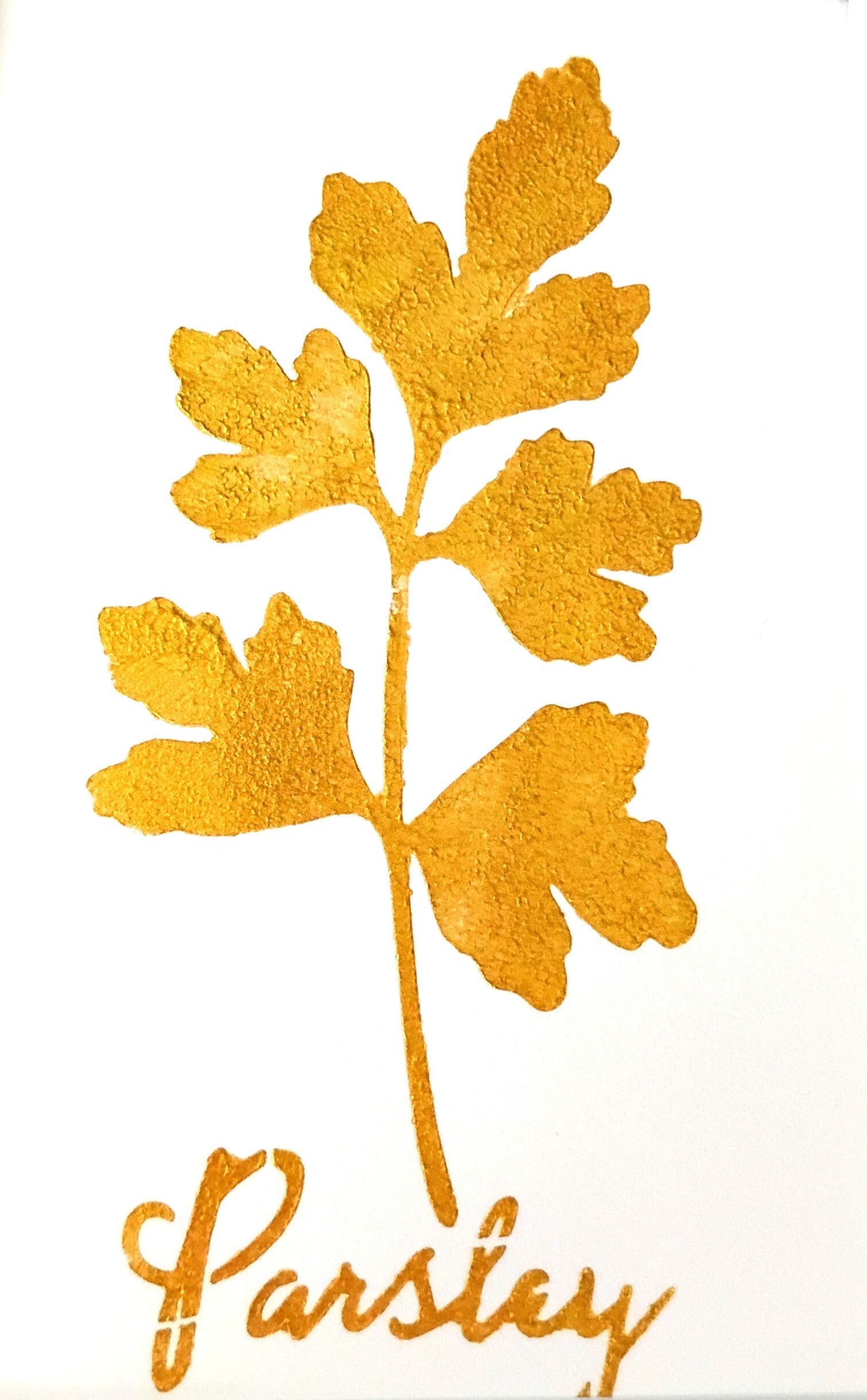 "Parsley" Gold Leaf Herb Painting in 5 x 7 White Mat