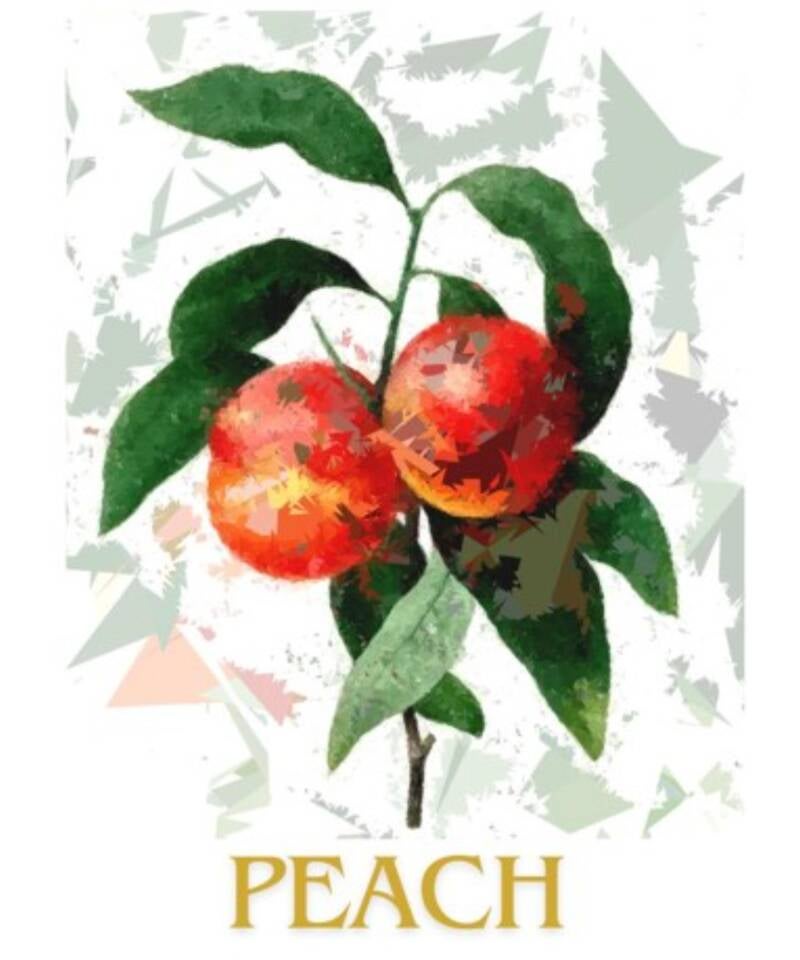 peach-standard-h448kk.jpg