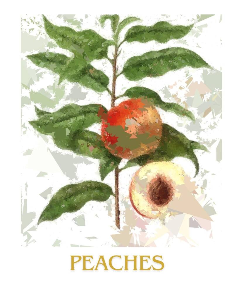 peaches-1-standard-vn2qn2.jpg