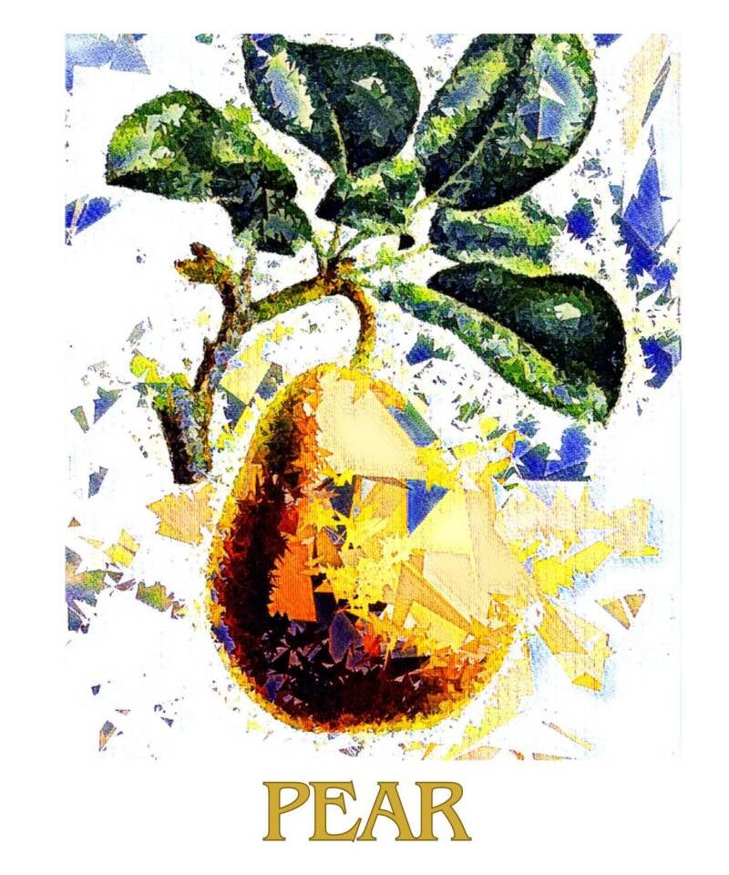 pear-2-standard-9yuj8z.jpg