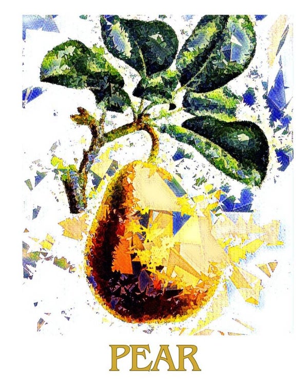 "Pear" Vintage Fruit Print Redesigned - Two Sizes