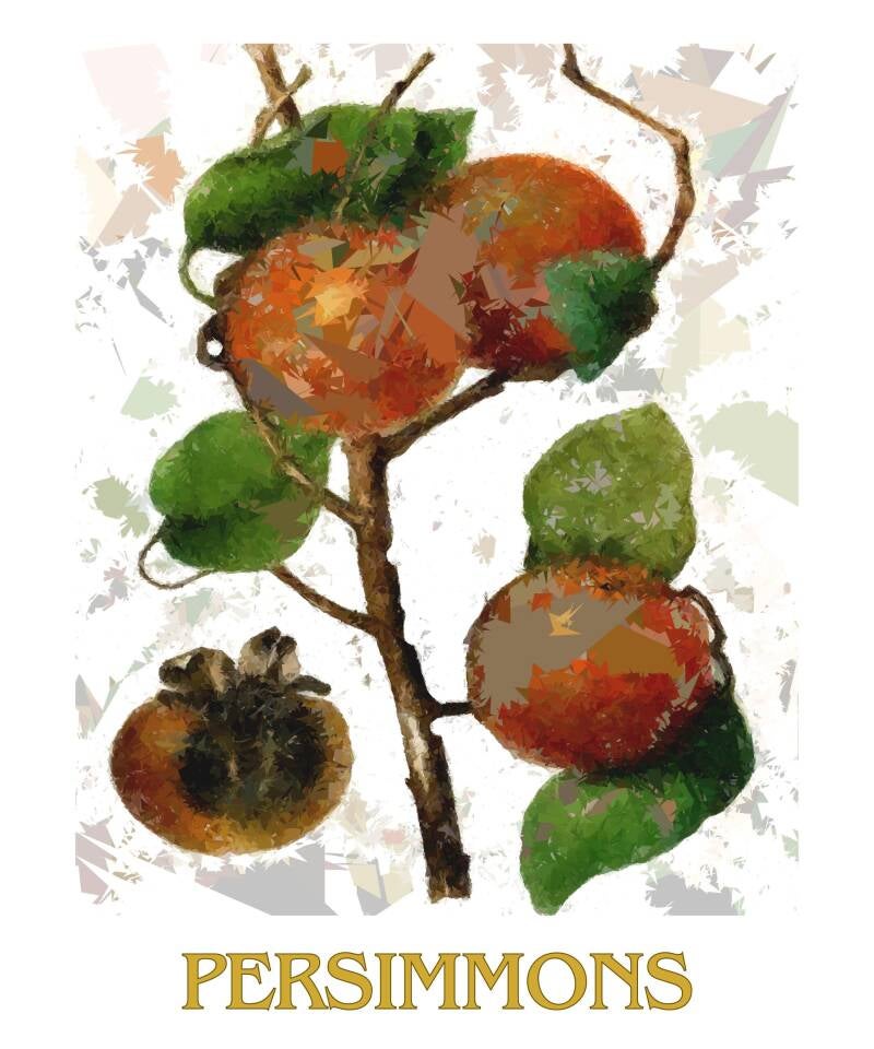 persimmons-1-standard-xotoi5.jpg