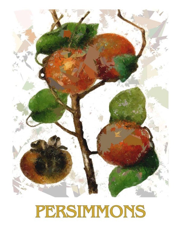 "Persimmons" Vintage Fruit Print Redesigned - Two Sizes