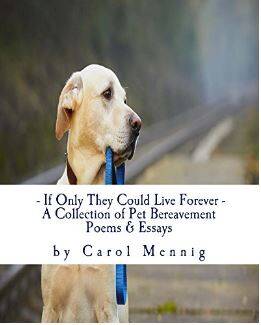 pet-bereavement-standard.jpg