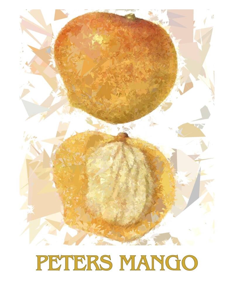 peters-mango-1-standard-8gad3c.jpg