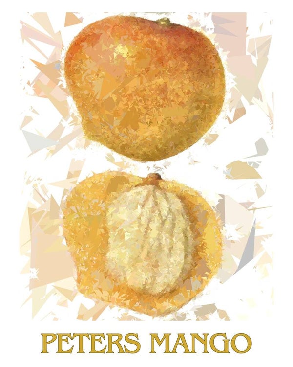 "Peters Mango" Vintage Fruit Print Redesigned - Two Sizes