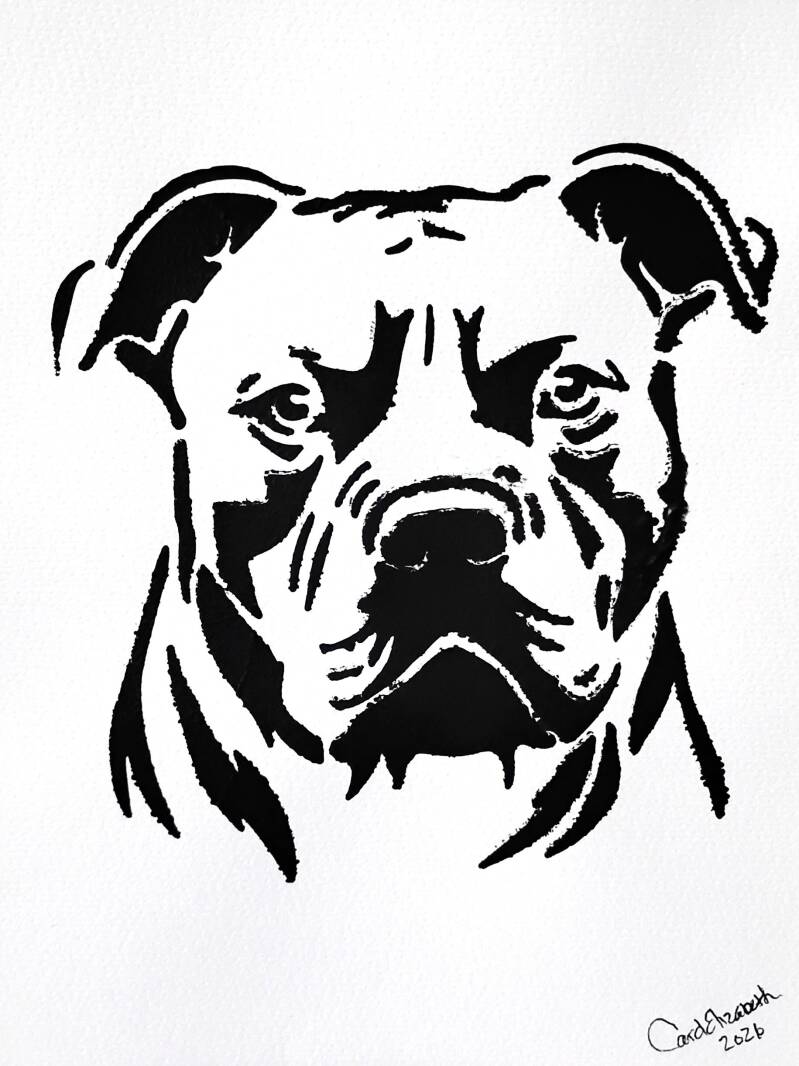 pitbull-large-black-standard-xlzoct.jpg