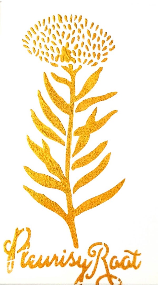 "Pleurisy Root" Gold Leaf Herb Painting in 5 x 7 White Mat