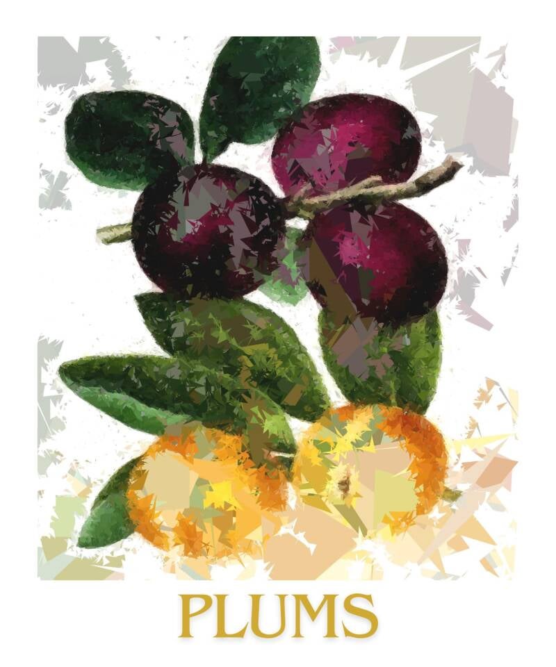 plums-1-standard-i2x6ea.jpg